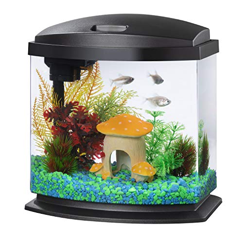 The Best Beginner Fish Tank Now - Theusefulhammers