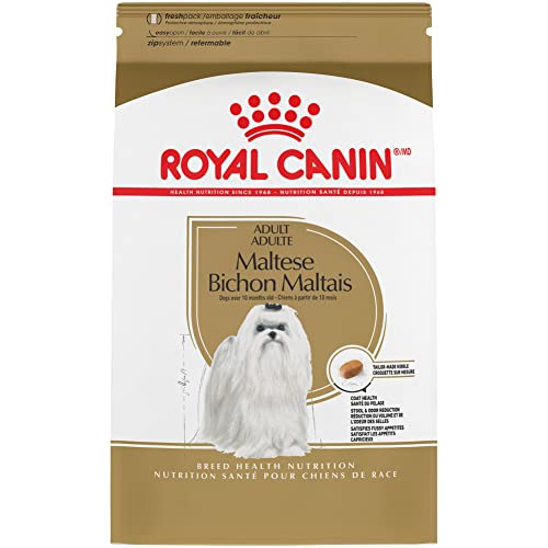 Best Dog Food for Maltese Breed